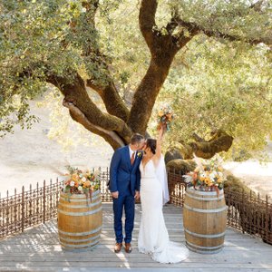 this beautiful oak tree is the perfect backdrop for a wedding ceremony at mountain house estate, just north of healdburg, ca