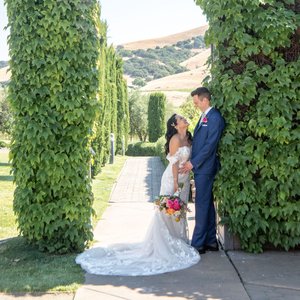 cute wedding couple framed by a viney arch at Viansa Winery in Sonoma, California